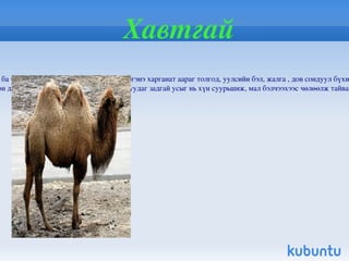 Монголын улаан номонд зөвхөн нэн ховор, ховор зүйлыг багтаасан байдаг. Үүнд:  30  зүйл хөхтөн,  5  зүйл мөлхөгчид 4  зүйл 2 нутагтан 19  зүйл шавьж 2  зүйл хавч 4  зүйл зөөлөн биетэн 28  зүйл доод ургамал 28  зүйл дээд ургамал Бүгд   128  зүйл ургамал,   100  зүйл амьтан  орсон.  Улаан ном 