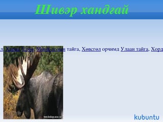 Ховор амьтад Ховор ургамал амьтан гэдэг нь байгалийн жамаар нөхөн сэргээх чадвараар хязгаарлагдмал нөөц багатай устаж болзошгүй амьтад юм . Үүнд:  Аргаль, Хулан, Янгир, Хар сүүлт, Халиун буга, Алтайн хойлог, Ямаан сүүлт, Цасч дэглий, Халбаган хошуут, Хар өрөвтас, Тоодог г.мэт. 