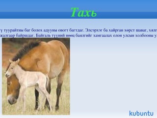 Элбэг амьтад Элбэг ургамал, амьтан гэж байгалийн жамаар нөхөн сэргэх чадвар сайн түгээмэл тархацтай нөөц ихтэй ургамал амьтныг хэлнэ. Үүнд: тарвага зурам мануул гахай бор гөрөөс цагаан зээр хур сойр хөтүү ногтруу дархадын цагаан булуу цагаан гутаарь,гэх мэт  