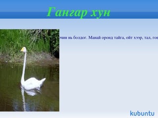 Тахь Т ахь /Equus przewalskii Poliakov/  нь хөхтөн амьтны аймгийн битүү туурайтны баг болох адууны овогт багтдаг. Элсэрхэг ба хайрган хөрст шаваг, хялганат хээр, шаваг, тэсэг бударганат говь, загт говьд бэлчдэг. Зун, хавар, намар задгай усанд тогтмол ирдэг.  Өвөл уулын бэлийн сайр, садрага, толгод, намхан уулсын хавцал жалгаар байршдаг. Байгаль түүний нөөц баялгийг хамгаалах олон улсын холбооны улаан номонд нэр нь орсон. Монгол улс 1930 оноос эхлэн  агнахыг хуулиар хатуу хориглон дархалсан. 