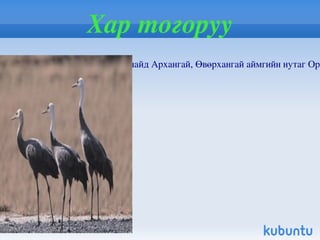 Ирвэс Ирвэс ( Uncia uncia  буюу  Panthera uncia )  Төв   Азийн  уул нуруудаар тархсан дунд зэргийн биетэй мийнхэн овгийн зүйл. Энэ зүйлийн ангилал өөрчлөгдсөөр ирсэн бөгөөд таксономийн нэршил нь одоо ч тодорхойгүй. 