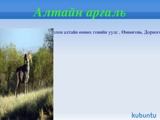 Цэн тогоруу Цэн тогоруу / Grus vipio pallas / нь шувууны аймгийн нэг тогоруу хэлбэртний баг болох тогорууны овогт багтана. Голын өргөн хөндийн үерт автагддаг, өндөр өвстэй, мод бутгүй намаг нуур элбэг татамд баймхай.  Монголд Хэнтий, Дорнод аймгийн Онон, Улз, Халх, Хэрлэн гол, Цагаан овоо сумын Баянбүрд, Хүрээт нуур, Холбоот нуур зэрэг нутгаар өндөглөж зусдаг. 1973 оны конвенцийн1 –р хавсралтанд оруулсан 