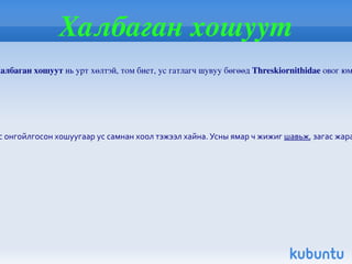 Ховор ан  амьтад 