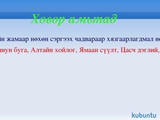 Элбэг амьтад 