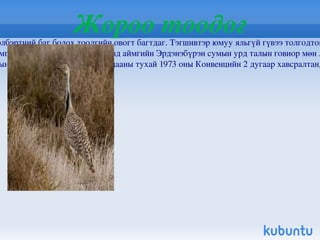 Шивэр хандгай Шивэр хандгай  ( Alces alces pfizenmayeri ) нь  Хэнтийн  уулархаг нутгийн  Онон ,  Хэрлэн ,  Туул ,  Хараа ,  Ерөө ,  Минж   голын  тайга,  Хөвсгөл  орчимд  Улаан   тайга ,  Хордил   нуруу ,  Үүр   голын  сав, Умард  Хангайд   Бүтээлийн   нуруу ,  Бүрэнгийн   нурууны  зүүн хэсэгт тархана. Нэн ховор амьтан. 