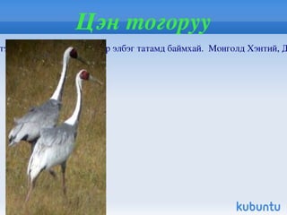 Азийн минж Азийн минж / Castor fiber birulai Serebrennicov / нь хөхтөн амьтны аймгийн мэргэчдийн баг болох минжийн овогт багтдаг. Булган голын өтгөн бургас , харгана шугуй бүхий урсгалтай хэсэгт гол , хар усны эргээр байнгын нүхэнд байршдаг.  Монгол нутагт Булган гол Дашванжил уулаас улсын хил хүртэл нутагладаг. Монгол улсад минж агнахыг 1930 оноос хуулиар хориглон дархалсан. Булган голын минжтэй зурвасыг 1965 онд дархалж минжийг хамгаалах арга хэмжээ авсан 