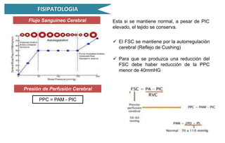 Ppc Normal HIPERTENSION ENDOCRANEANA Y SU FISIOPATOLOGIA | PPTX