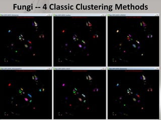 Fungi -- 4 Classic Clustering Methods
5/25/2015 40
 