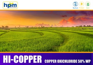HI-COPPER COPPER OXICHLORIDE 50% WP
 