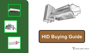 HID Buying Guide
 