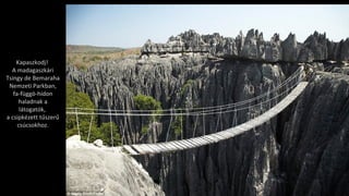 Kapaszkodj!
A madagaszkári
Tsingy de Bemaraha
Nemzeti Parkban,
fa-függö-hídon
haladnak a
látogatók,
a csipkézett tűszerű
csúcsokhoz.
 