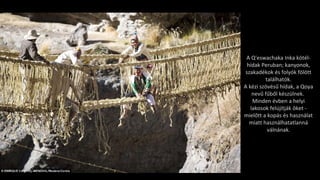 A Q'eswachaka Inka kötél-
hídak Peruban; kanyonok,
szakadékok és folyók fölött
találhatók.
A kézi szövésű hídak, a Qoya
nevű fűből készülnek.
Minden évben a helyi
lakosok felújítják ôket -
mielőtt a kopás és használat
miatt használhatatlanná
válnának.
 