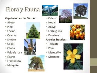 Flora y Fauna
Vegetación en las Sierras :   • Cafeto
• Abeto                       • Nopal
• Pino                        • Agave
• Encino                      • Lechuguilla
• Oyamel                      • Damiana
• Enebro                      Árboles frutales:
• Copal                       • Tejocote
• Caoba                       • Pera
• Palo de rosa                • Membrillo
• Ébano                       • Manzano
• Framboyán
• Mezquite
 