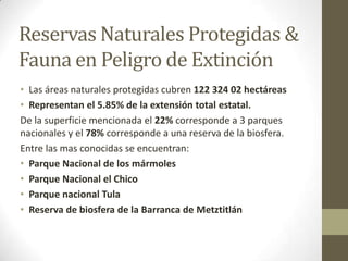 Reservas Naturales Protegidas &
Fauna en Peligro de Extinción
• Las áreas naturales protegidas cubren 122 324 02 hectáreas
• Representan el 5.85% de la extensión total estatal.
De la superficie mencionada el 22% corresponde a 3 parques
nacionales y el 78% corresponde a una reserva de la biosfera.
Entre las mas conocidas se encuentran:
• Parque Nacional de los mármoles
• Parque Nacional el Chico
• Parque nacional Tula
• Reserva de biosfera de la Barranca de Metztitlán
 