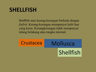 SHELLFISH 
Shellfish atau kerang-kerangan berbeda dengan 
finfish. Kerang-kerangan mempunyai kulit luar 
yang keras. Kerangkerangan tidak mempunyai 
tulang belakang atau rangka internal. 
Crustacea Mollusca 
Shellfish 
 