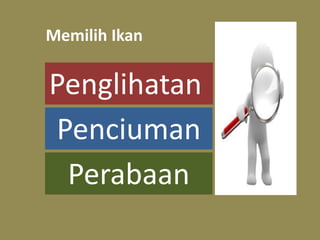 Memilih Ikan 
Penglihatan 
Penciuman 
Perabaan 
 