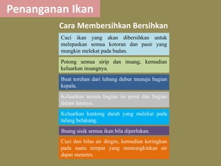Penanganan Ikan 
Cara Membersihkan Bersihkan 
Cuci ikan yang akan dibersihkan untuk 
melepaskan semua kotoran dan pasir yang 
mungkin melekat pada badan. 
Potong semua sirip dan insang, kemudian 
keluarkan insangnya. 
Buat torehan dari lubang dubur menuju bagian 
kepala. 
Keluarkan semua bagian isi perut dan bagian 
dalam lainnya. 
Keluarkan kantong darah yang melekat pada 
tulang belakang. 
Buang sisik semua ikan bila diperlukan. 
Cuci dan bilas air dingin, kemudian keringkan 
pada suatu tempat yang memungkinkan air 
dapat menetes. 
 