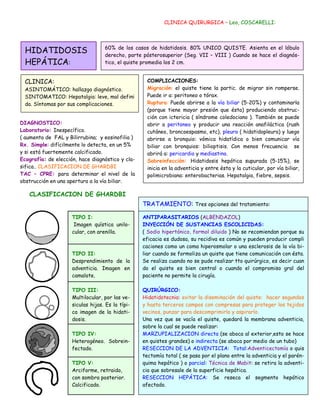 Hidatidosis | PDF