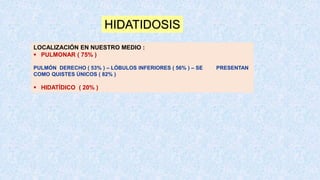 HIDATIDOSIS
LOCALIZACIÓN EN NUESTRO MEDIO :
 PULMONAR ( 75% )
PULMÓN DERECHO ( 53% ) – LÓBULOS INFERIORES ( 56% ) – SE PRESENTAN
COMO QUISTES ÚNICOS ( 82% )
 HIDATÍDICO ( 20% )
 