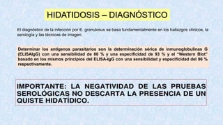 HIDATIDOSIS – DIAGNÓSTICO
El diagnóstico de la infección por E. granulosus se basa fundamentalmente en los hallazgos clínicos, la
serología y las técnicas de imagen.
Determinar los antígenos parasitarios son la determinación sérica de inmunoglobulinas G
(ELISAIgG) con una sensibilidad de 86 % y una especificidad de 93 % y el “Western Blot”
basado en los mismos principios del ELISA-IgG con una sensibilidad y especificidad del 96 %
respectivamente.
 