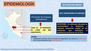 EPIDEMIOLOGÍA
CADA 14 - 34 PERSONAS
DE CADA 100 000
HABITANTES
Provincias de Chupaca,
Chaupimarca
http://journals.continental.edu.pe/index.php/apuntes/article/view/303/318
EN NUESTRO MEDIO
60% HIDATIDOSIS PULMONAR
HIPOTESIS : En altitudes elevadas se
incrementaría la dilatación y
volumen sanguíneo capilar en los
pulmones que explicaría el
predominio pulmonar en el Perú
DATOS:
• Hidatidosis pulmonar tiene una edad de diagnóstico que varía de 6 y 68 años,
con un leve predomino del sexo femenino
 