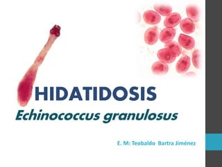 HIDATIDOSIS
Echinococcus granulosus
E. M: Teobaldo Bartra Jiménez
 