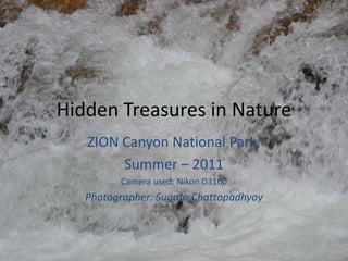 Hidden Treasures in Nature
   ZION Canyon National Park,
        Summer – 2011
         Camera used: Nikon D3100
   Photographer: Sugato Chattopadhyay
 