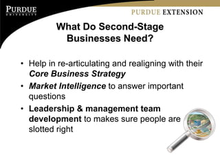 What Do Second-Stage
           Businesses Need?

• Help in re-articulating and realigning with their
  Core Business Strategy
• Market Intelligence to answer important
  questions
• Leadership & management team
  development to makes sure people are
  slotted right
 
