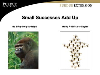 Small Successes Add Up
No Single Big Strategy   Many Modest Strategies
 