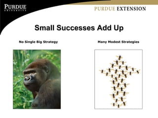 Small Successes Add Up No Single Big Strategy   Many Modest Strategies   