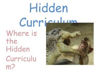 Hidden
Curriculum
Where is
the
Hidden
Curriculu
m?
 