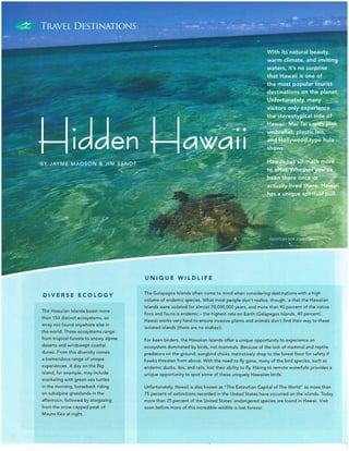 Hidden Hawaii Travel Beyond Tonka Times Article