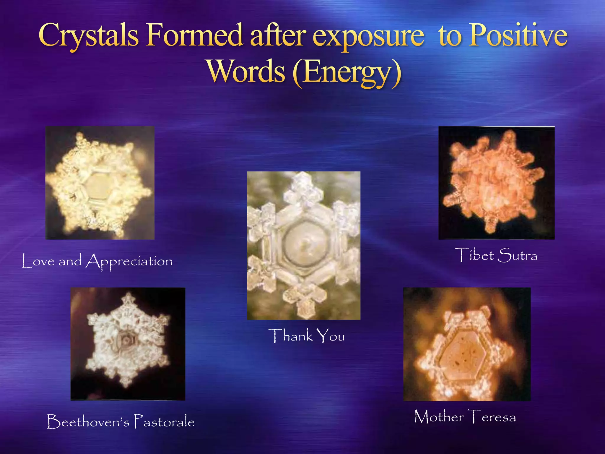 Love and Appreciation
Thank You
Beethoven’s Pastorale Mother Teresa
Tibet Sutra
 