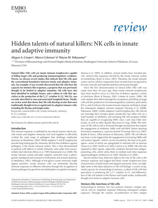 review
                                                                                                                       review

Hidden talents of natural killers: NK cells in innate
and adaptive immunity
Megan A. Cooper1, Marco Colonna2 & Wayne M. Yokoyama3+
1–2–3
   Division of Rheumatology and Howard Hughes Medical Institute, Washington University School of Medicine, St Louis,
Missouri, USA

Natural killer (NK) cells are innate immune lymphocytes capable                     (Kumar et al, 2009). In addition, several studies have revealed spe‑
of killing target cells and producing immunoregulatory cytokines.                   cific memory-like responses elicited by the innate immune system
Herein, we discuss recent studies that indicate that NK cells span                  of invertebrates (Kurtz & Franz, 2003). Therefore, the innate immune
the conventional boundaries between innate and adaptive immu-                       system and its cellular components have recently been recognized to
nity. For example, it was recently discovered that NK cells have the                be more intricate and sophisticated than previously thought.
capacity for memory-like responses, a property that was previously                      Since the first characterization of natural killer (NK) cells was
thought to be limited to adaptive immunity. NK cells have also                      made more than 30  years ago, these innate immune lymphocytes
been identified in multiple tissues, and a subset of cells that spe-                have been found to serve as a first line of defence against a variety
cialize in the production of the TH17 cytokine IL‑22, NK‑22s, was                   of infections (Biron & Brossay, 2001; Lodoen & Lanier, 2006). NK
recently described in mucosal-associated lymphoid tissue. Finally,                  cells mediate their effects through the recognition and killing of target
we review work that shows that NK cells develop at sites that were                  cells and the production of immunoregulatory cytokines, particularly
traditionally thought to be occupied only by adaptive immune cells,                 IFN‑γ, which enhance the innate immune response and help to shape
including the thymus and lymph nodes.                                               the sub­ equent adaptive immune response (Strowig et  al, 2008b;
                                                                                             s
Keywords: natural killer cell; innate immunity; memory;                             Yokoyama, 2008). Unlike adaptive T and B lymphocytes, NK cells do
IL‑22; cytokine                                                                     not rearrange their receptor genes somatically, but rather rely on a
EMBO reports (2009) 10, 1103–1110. doi:10.1038/embor.2009.203                       fixed number of inhibitory and activating NK cell receptors (NKRs)
                                                                                    that are capable of recognizing MHC class I and class I‑like mol­
See Glossary for abbreviations used in this article.                                ecules, as well as other ligands (Bryceson & Long, 2008). The toler‑
                                                                                    ance of NK cells to self is achieved through mechanisms that require
Introduction                                                                        the engagement of inhibitory NKRs with self-MHC before attaining
The immune response is mediated by two broad systems which pro‑                     functional competence, a process termed ‘licensing’ (Kim et al, 2005;
vide innate and adaptive immunity and work together to efficiently                  Raulet & Vance, 2006; Jonsson & Yokoyama, 2009). NK cell effector
combat the wide range of pathogens that challenge vertebrates                       functions can be triggered by the engagement of activating NKRs with
(Janeway & Medzhitov, 2002). While adaptive T and B lymphocytes                     cell-surface ligands—which can be encoded by the host or by path‑
provide long-lasting specific immunity, the first line of defence against           ogens—some of which are upregulated in infected cells or tumours
pathogens is the innate immune system. This is best demonstrated                    (Arase et al, 2002; Smith et al, 2002; Guerra et al, 2008). NK cells also
in patients with defects in innate immunity, who suffer from uncon‑                 respond to other signals, especially cytokines derived from antigen-
trolled, fatal infections (Biron et al, 1989; Bustamante et al, 2008). The          presenting cells, which allow them to mediate early host responses
innate immune system precedes adaptive immunity from a phylo­                       against pathogens (Andrews et al, 2003; Moretta et al, 2006).
genetic standpoint and is present in both plants and animals (Janeway                   Recent studies have shed new light on the role of NK cells in the
& Medzhitov, 2002). Although at first glance innate immunity might                  immune response and suggest that these innate lymphocytes have
appear primitive, innate immune cells can orchestrate discrete                      characteristics of both innate and adaptive immunity. Here, we high‑
immune responses to different infections through the recognition of                 light some of the latest advances in NK cell biology: a newly recog‑
diverse pathogens by germline-encoded pattern recognition receptors                 nized capacity for immunological memory, a subset of NK cells that
                                                                                    specializes in producing the TH17 cytokine IL‑22, and differentia‑
                                                                                    tion of NK cell subsets in the thymus and lymph nodes, traditionally
1
                                                                                    thought of as home to adaptive immune cells.
 Department of Pediatrics, 2Department of Pathology & Immunology, and 3Department
of Medicine, Division of Rheumatology and Howard Hughes Medical Institute,
Washington University School of Medicine, St Louis, Missouri 63110, USA             Memory-like functions of NK cells
+
  Corresponding author. Tel: +1 (314) 362 9075; Fax: +1 (314) 362 9257;             Immunological memory has two primary features: antigen spe‑
E‑mail: yokoyama@wustl.edu
                                                                                    cificity and an amplified response following subsequent antigen
Submitted 10 June 2009; accepted 6 August 2009; published online 4 September 2009   exposure. Through the somatic recombination of their antigen


©2009 European Molecular Biology Organization                                                                          EMBO reports  VOL 10 | NO 10 | 2009 1103
 