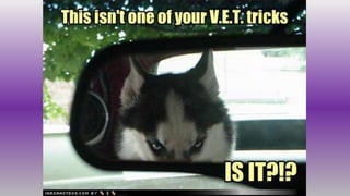 Hidden Treasures Bazaar 5/5/15 8:00PM EST