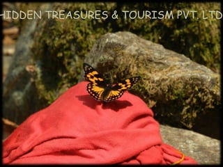 HIDDEN TREASURES & TOURISM PVT. LTD.
 
