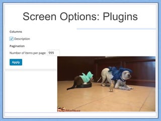 Screen Options: Plugins
 
