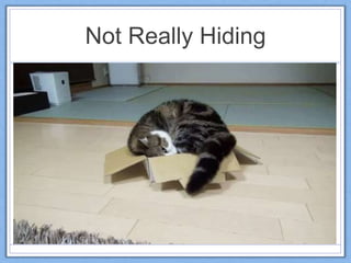Not Really Hiding
 