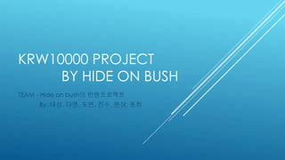 KRW10000 PROJECT
BY HIDE ON BUSH
TEAM - Hide on bush의 만원프로젝트
By. 태성, 다영, 도연, 진수, 원상, 동희
 