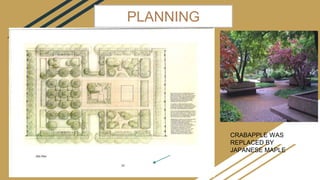 PLANNING
CRABAPPLE WAS
REPLACED BY
JAPANESE MAPLE
 