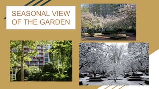 SEASONAL VIEW
OF THE GARDEN
 