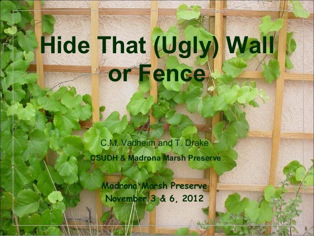 Hide that (ugly) wall 2012