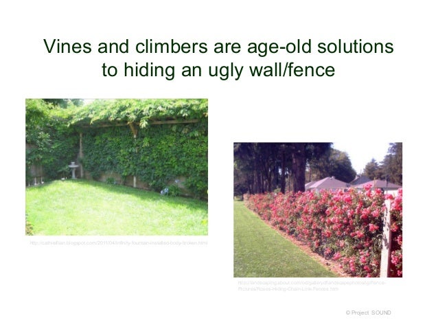Hide That Ugly Wall 2012