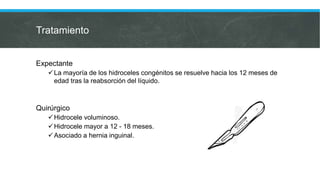 Tratamiento
Expectante
La mayoría de los hidroceles congénitos se resuelve hacia los 12 meses de
edad tras la reabsorción del líquido.
Quirúrgico
Hidrocele voluminoso.
Hidrocele mayor a 12 - 18 meses.
Asociado a hernia inguinal.
 