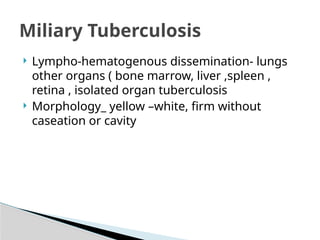  Lympho-hematogenous dissemination- lungs
other organs ( bone marrow, liver ,spleen ,
retina , isolated organ tuberculosis
 Morphology_ yellow –white, firm without
caseation or cavity
Miliary Tuberculosis
 