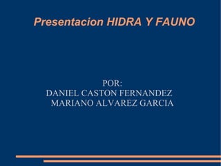 Presentacion HIDRA Y FAUNO POR: DANIEL CASTON FERNANDEZ MARIANO ALVAREZ GARCIA 
