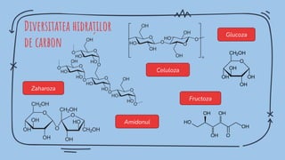 Fructoza
Celuloza
Glucoza
Amidonul
Zaharoza
Diversitatea hidraților
de carbon
 