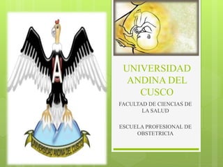 UNIVERSIDAD
ANDINA DEL
CUSCO
FACULTAD DE CIENCIAS DE
LA SALUD
ESCUELA PROFESIONAL DE
OBSTETRICIA
 
