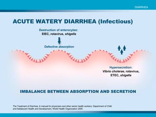 Destruction of enterocytes:   EIEC, rotavirus,  shigella Defective absorption Hypersecretion: Vibrio cholerae , rotavirus, ETEC,  shigella IMBALANCE BETWEEN ABSORPTION AND SECRETION The Treatment of Diarrhea: A manual for physicians and other senior health workers, Department of Child and Adolescent Health and Development, World Health Organization 2005 ACUTE WATERY DIARRHEA (Infectious)  DIARRHEA 