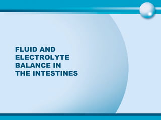 FLUID AND ELECTROLYTE BALANCE IN THE INTESTINES 